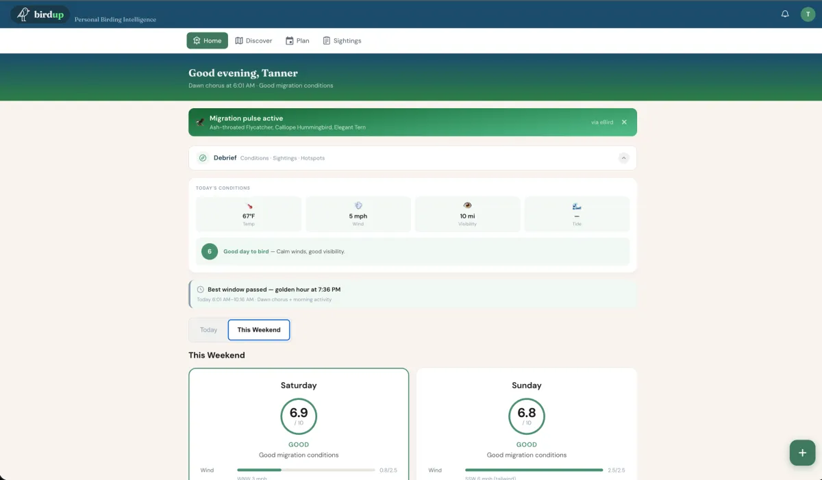 BirdUp dashboard showing live migration conditions, today's weather, and weekend birding scores